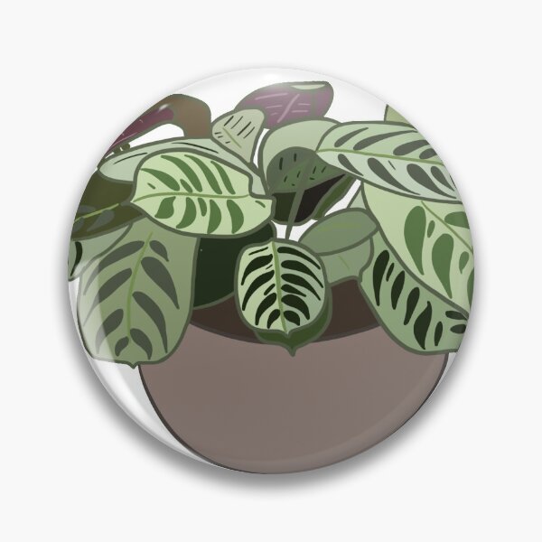 Item preview, Calathea Maranta designed and sold by kalkos.