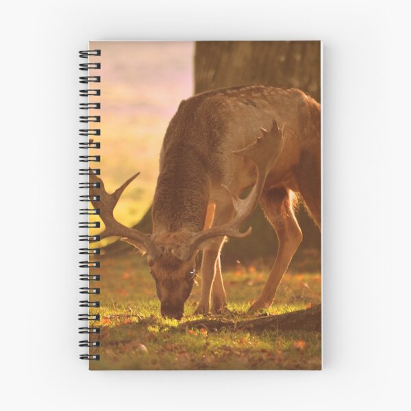 Item preview, A Scavenging Stag in Petworth Park designed and sold by jamesmortimore.