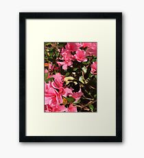 Bumble Framed Print