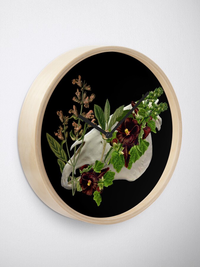 Alternate view of Equus Calvariae Locus Clock