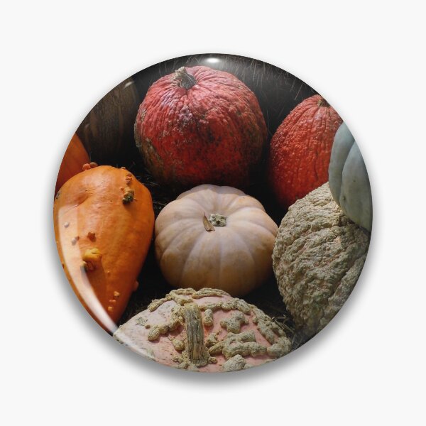 Artikelvorschau, Pumpkin Selection entworfen und verkauft von WildestArt.