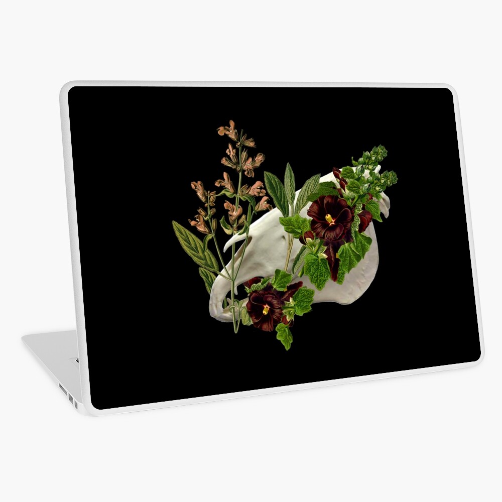 Equus Calvariae Locus Laptop Skin