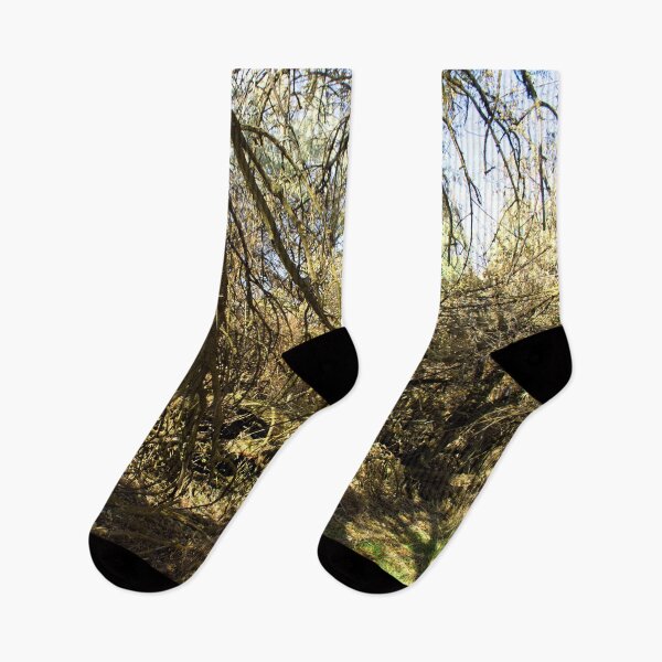 Item preview, Beautiful fall season photography designed and sold by Ventures1.
