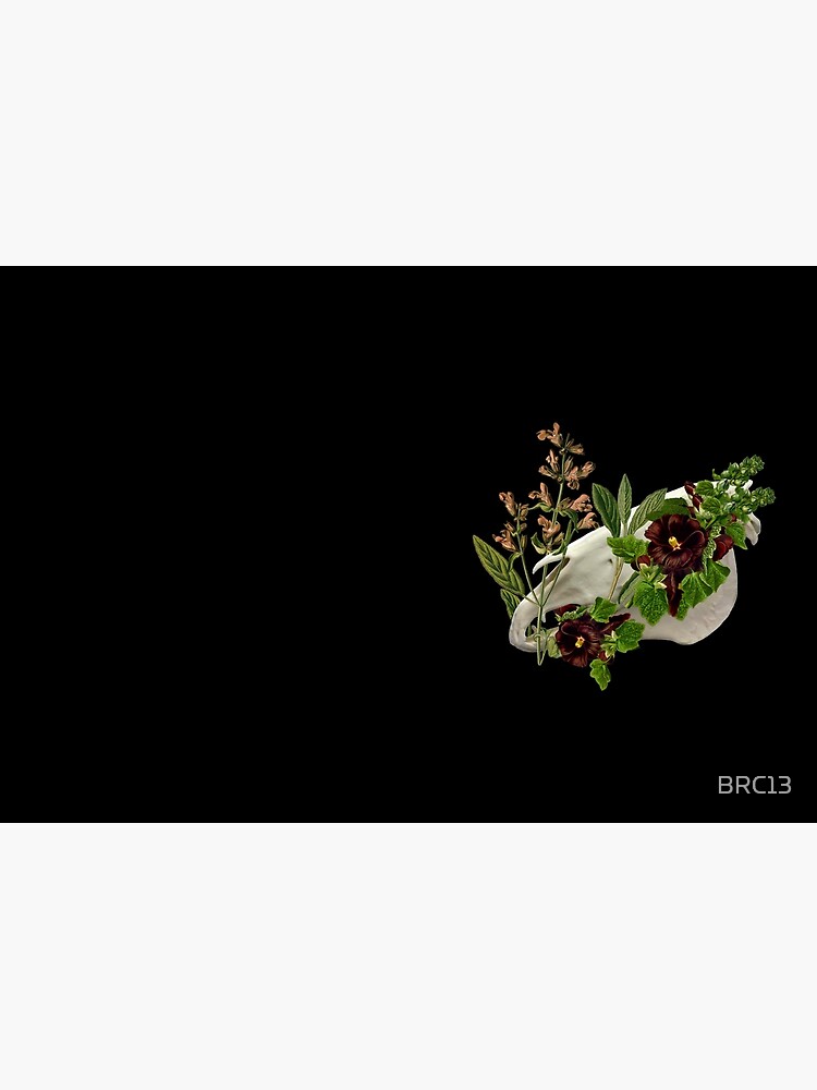 Equus Calvariae Locus by BRC13