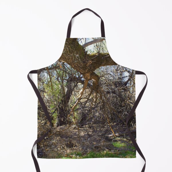 Item preview, Beautiful fall season photography designed and sold by Ventures1.