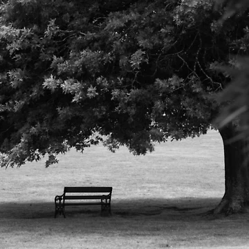 Artwork thumbnail, Lonely Bench by Raeion