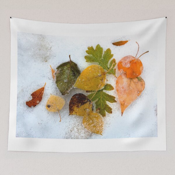 Item preview, Seasons Collide designed and sold by DawsonImages.