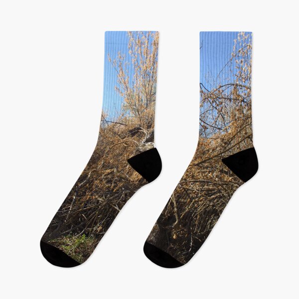 Item preview, Beautiful fall season photography designed and sold by Ventures1.