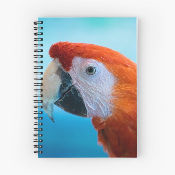 Item preview, Parrot designed and sold by blb1014.