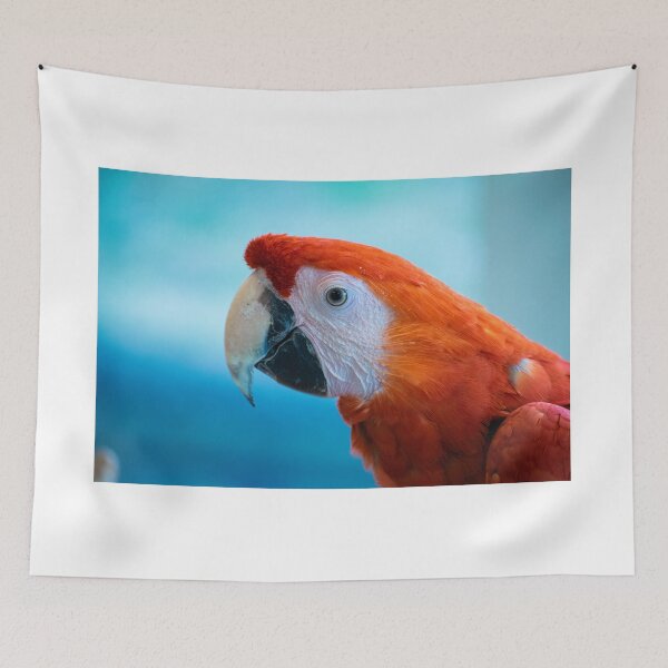 Item preview, Parrot designed and sold by blb1014.
