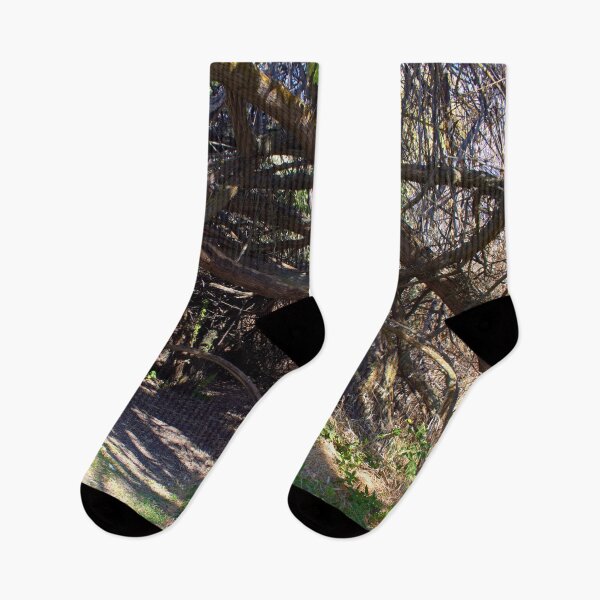 Item preview, Beautiful fall season photography designed and sold by Ventures1.