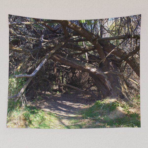 Item preview, Beautiful fall season photography designed and sold by Ventures1.
