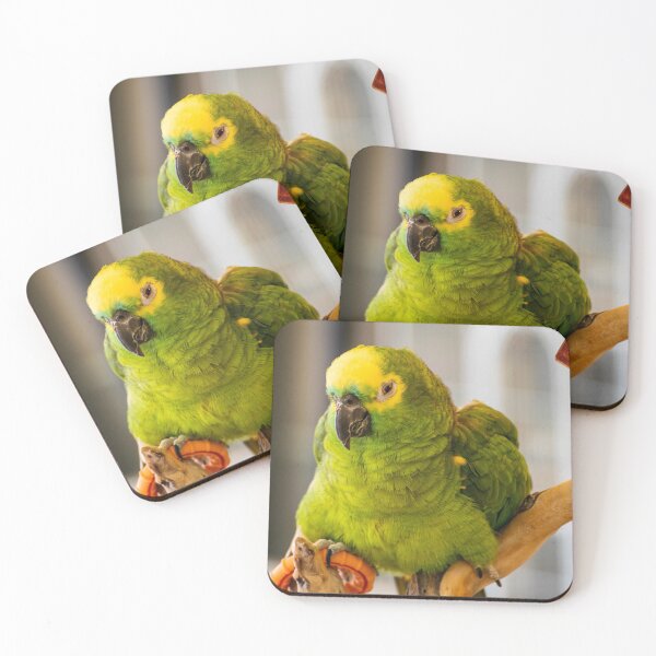Item preview, Grumpy bird designed and sold by blb1014.