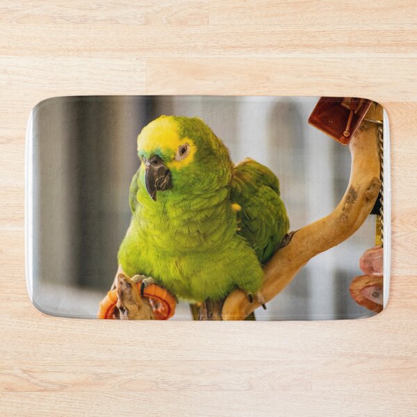 Item preview, Grumpy bird designed and sold by blb1014.