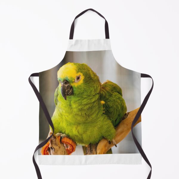 Item preview, Grumpy bird designed and sold by blb1014.