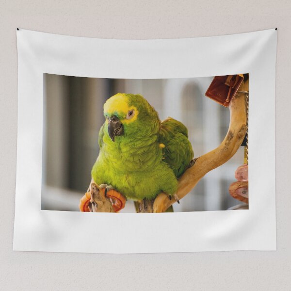 Item preview, Grumpy bird designed and sold by blb1014.