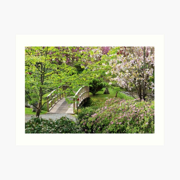 Bridge Mayne Island Japanese Garden Art Print