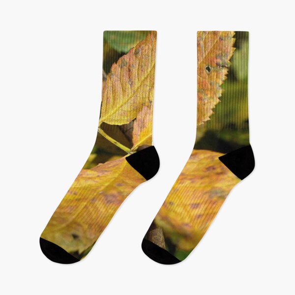 Item preview, Beautiful fall season photography designed and sold by Ventures1.
