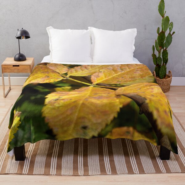Item preview, Beautiful fall season photography designed and sold by Ventures1.