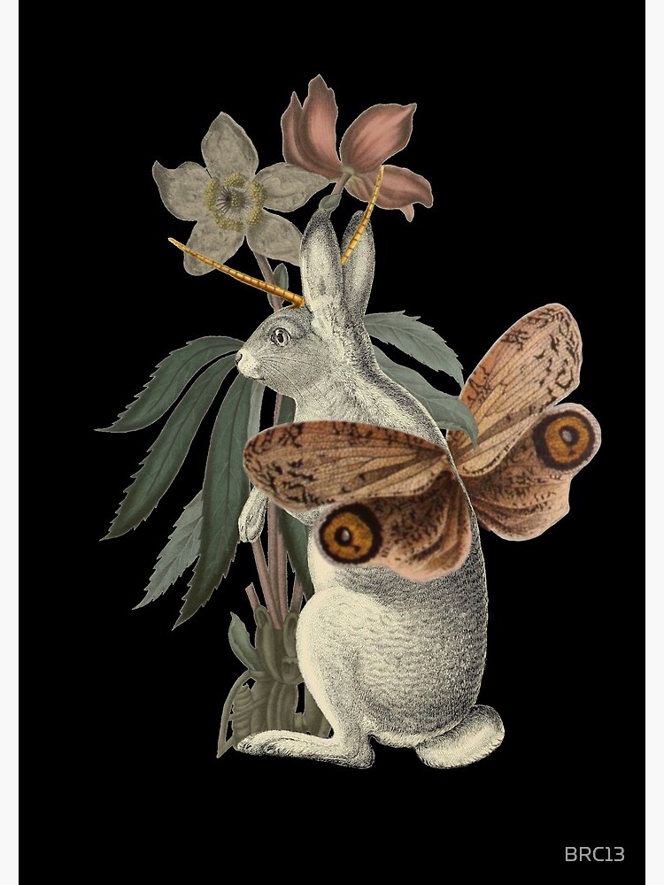 Papilio Jackalope by BRC13