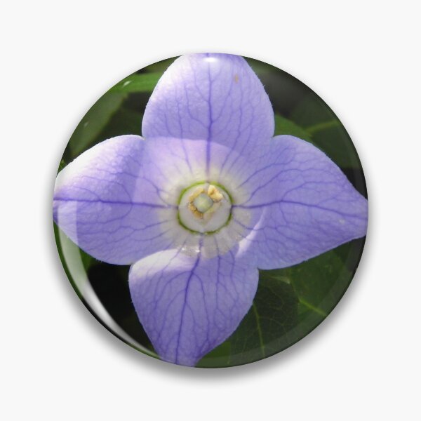 Item preview, Balloon Flower designed and sold by WildestArt.
