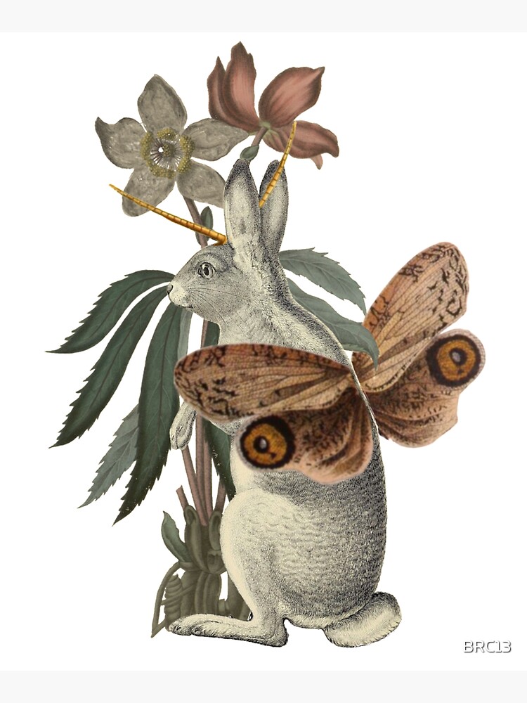 Papilio Jackalope by BRC13