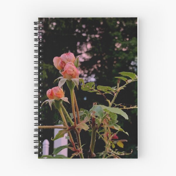 Item preview, Pretty in Pink Rosebuds en el jardín designed and sold by Candace Offman.
