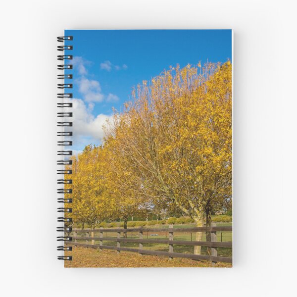 Aperçu de l'œuvre Couleurs d'automne créée et vendue par Elizabeth Dale.