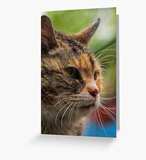 Fighter Greeting Card