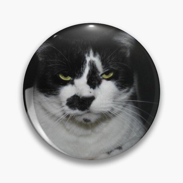 Item preview, CATtitude designed and sold by WildestArt.