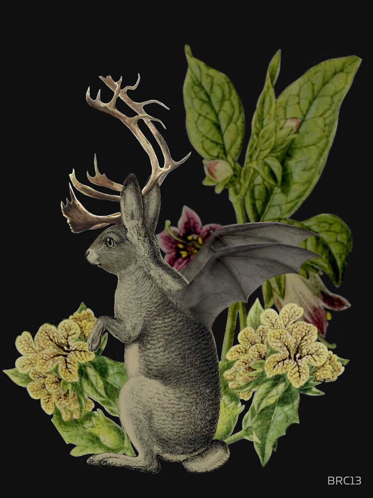 Jackalope Vespertilio by BRC13