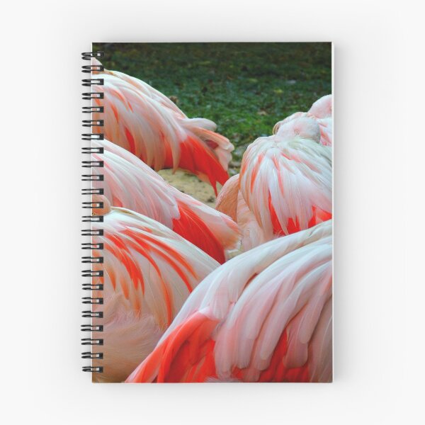 Item preview, Sleeping Flamingos designed and sold by WildestArt.