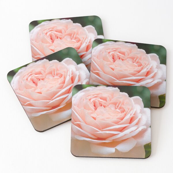 Item preview, Rose designed and sold by Elizabeth Dale.