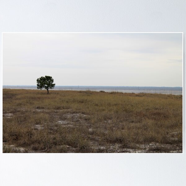 Item preview, Bald Point State Park, Florida designed and sold by KM.