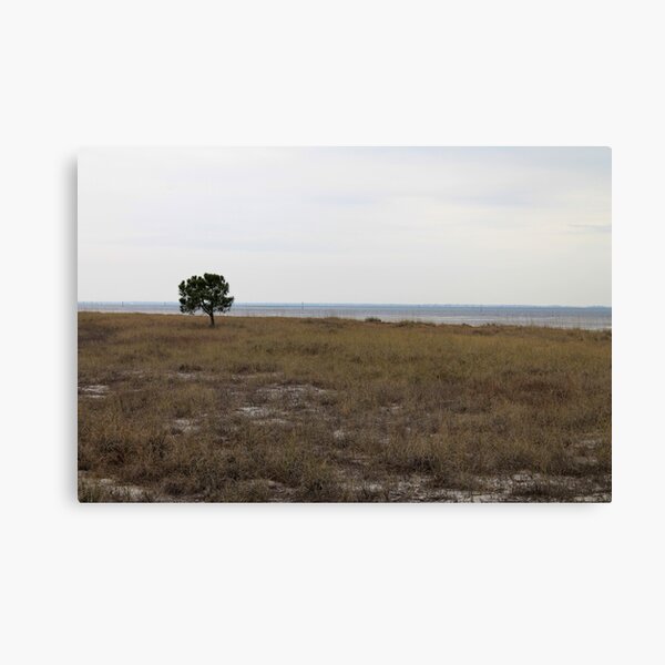 Item preview, Bald Point State Park, Florida designed and sold by KM.