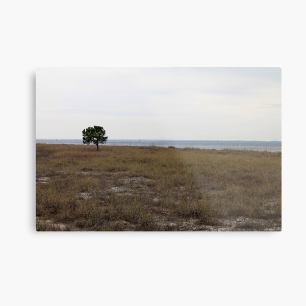 Item preview, Bald Point State Park, Florida designed and sold by KM.