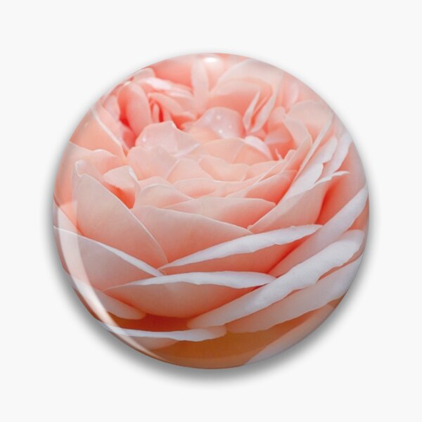 Item preview, Rose designed and sold by Elizabeth Dale.