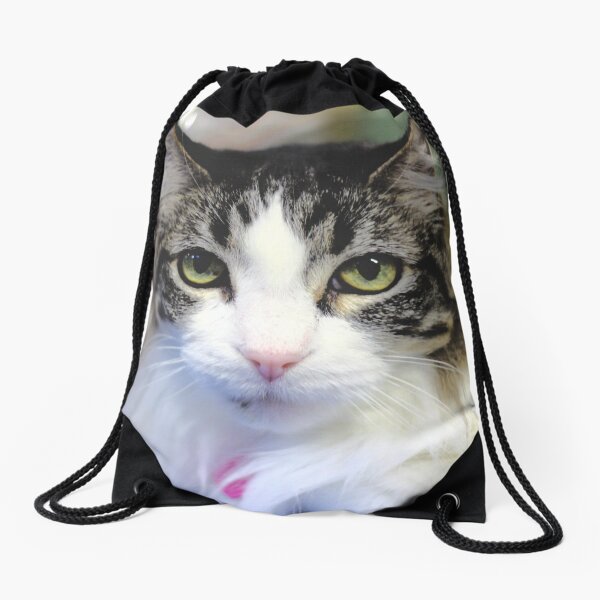 Cat Stare Drawstring Bag