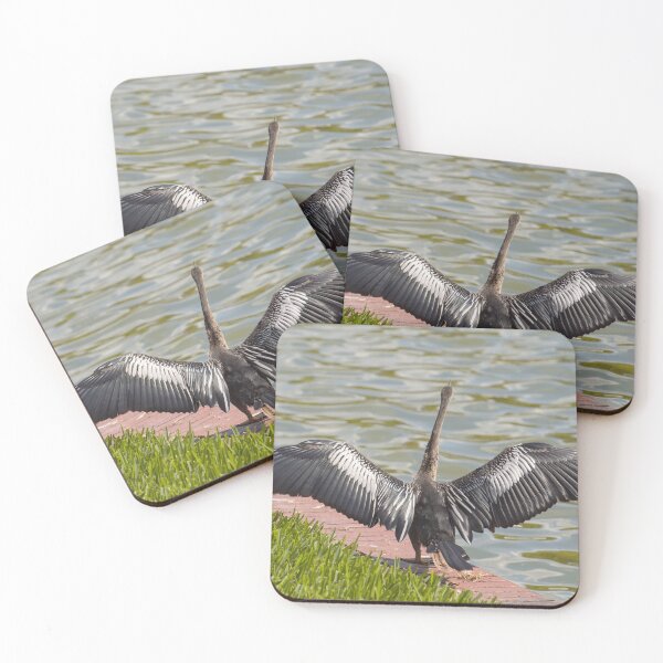 Item preview, Beautiful details of Anhinga wings designed and sold by Zina Stromberg.