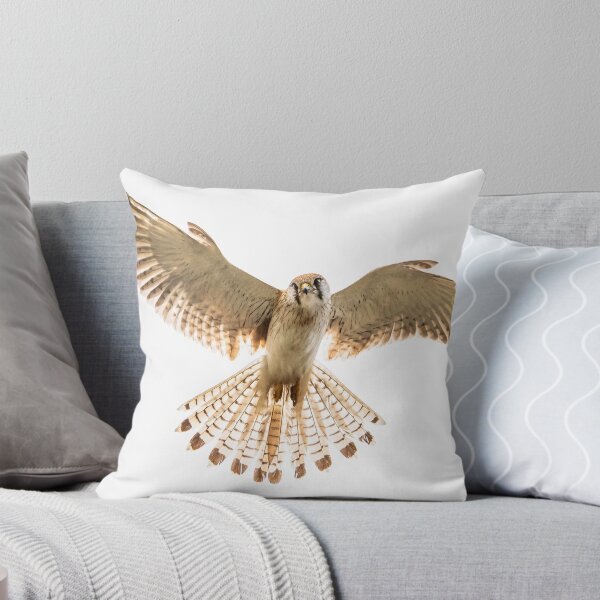 Item preview, Nankeen Kestrel in flight designed and sold by Glenn-Smith.