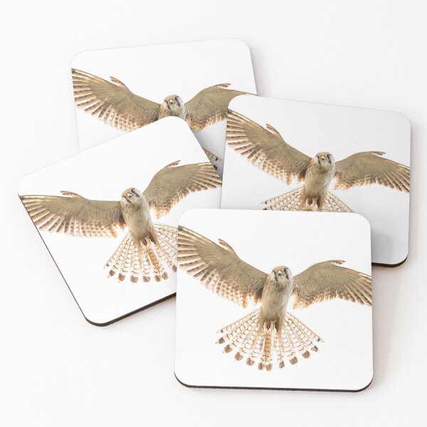 Item preview, Nankeen Kestrel in flight designed and sold by Glenn-Smith.