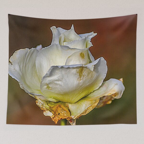 Item preview, A Faded Rose From Days Gone By designed and sold by Bryan Spellman.