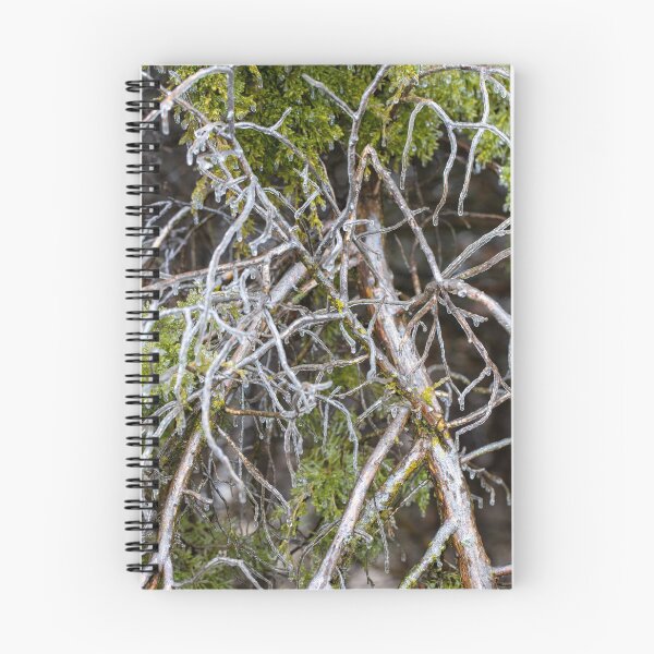 Item preview, Iced Conifer designed and sold by GenuineBurke.