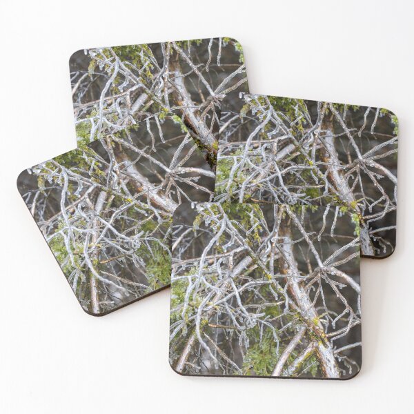 Item preview, Iced Conifer designed and sold by GenuineBurke.