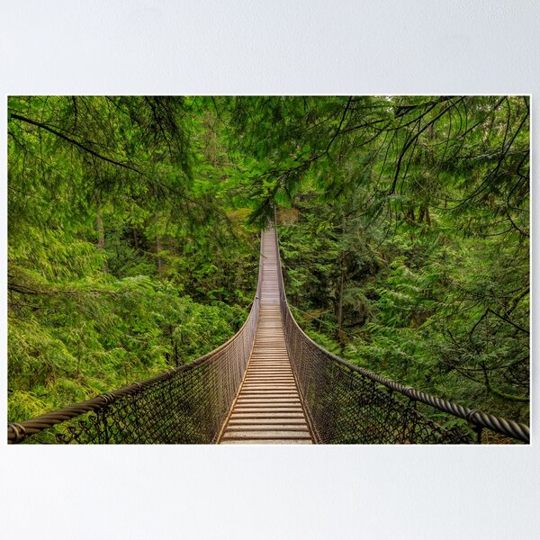 Item preview, Lynn Canyon Park suspension bridge designed and sold by SvetlanaSF.