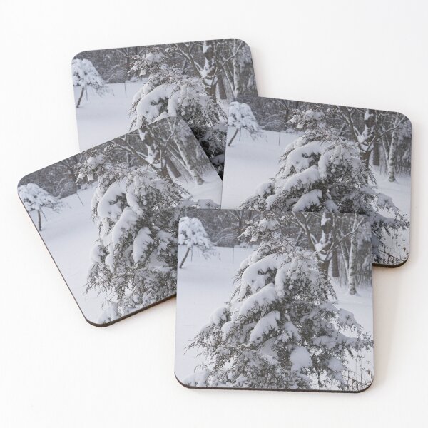 Item preview, wisconsin designed and sold by distracted.