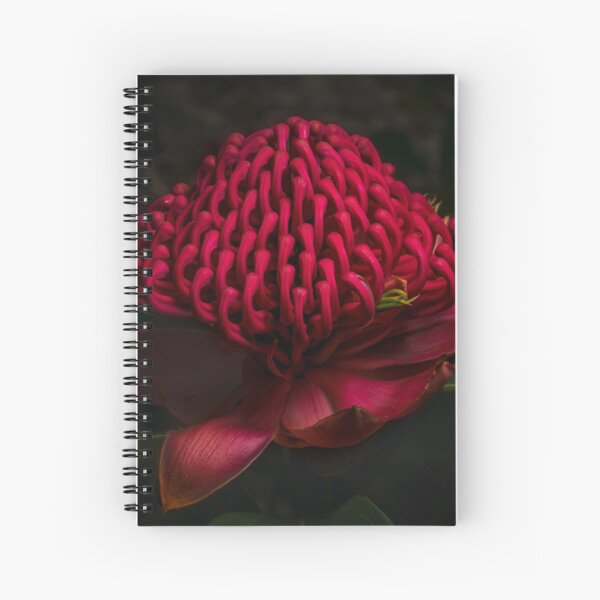 Item preview, Waratah in Flower designed and sold by Glenn-Smith.