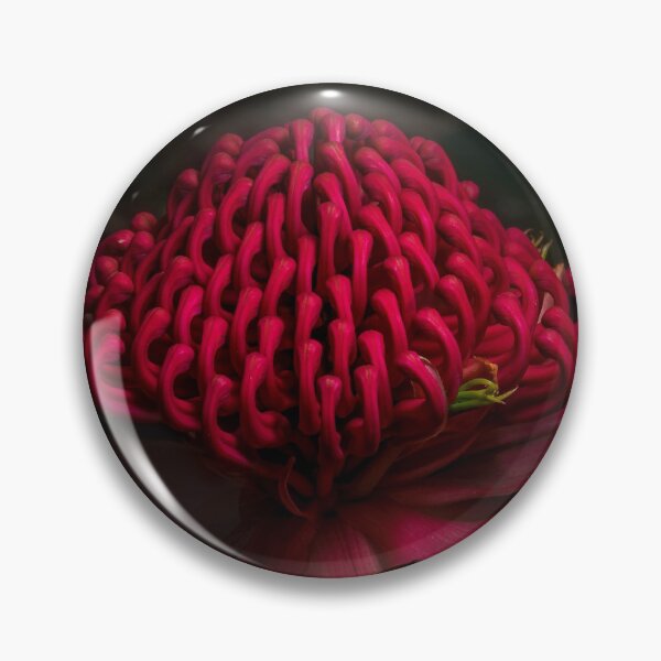 Item preview, Waratah in Flower designed and sold by Glenn-Smith.