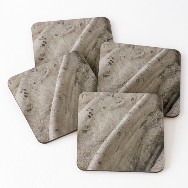 Item preview, Tree Roots 3 designed and sold by Geoff Treagus.