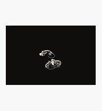 3 Blind Mice Photographic Print